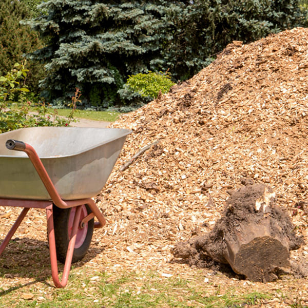 prevention-et-bonnes-pratiques