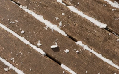 Dégel du sol au Québec avec équipement spécialisé