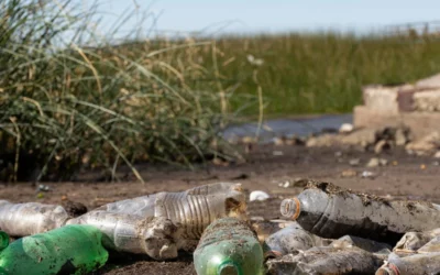 Terrains contaminés : comment réhabiliter un site ?